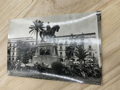 Vintage Jerez De La Frontera Ediciones Sicilia B/W Postcard Std 5.5 X 3.5 In