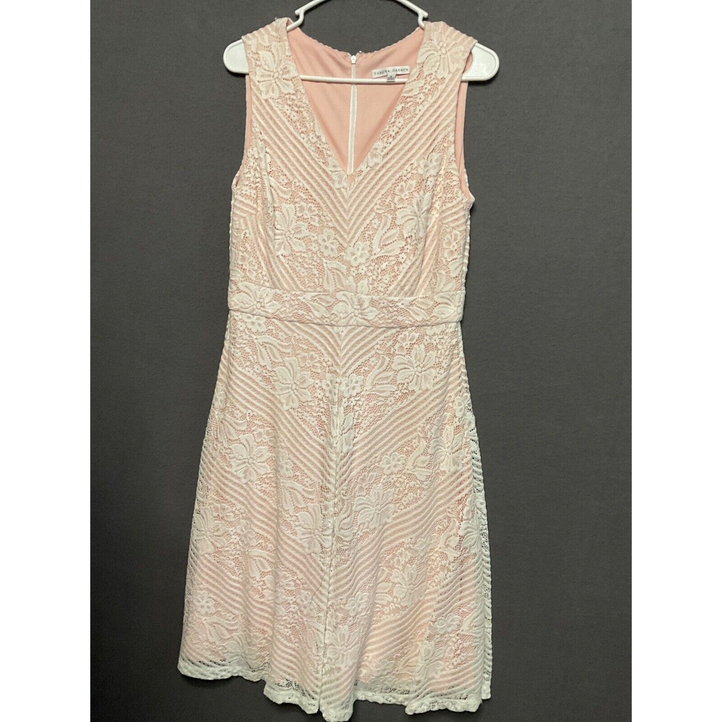 Sandra Darren 10 Blush Lace Dress Sleeveless Fit & Flare Floral V-Neck Lined