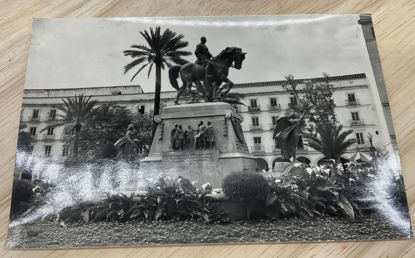 Vintage Jerez De La Frontera Ediciones Sicilia B/W Postcard Std 5.5 X 3.5 In