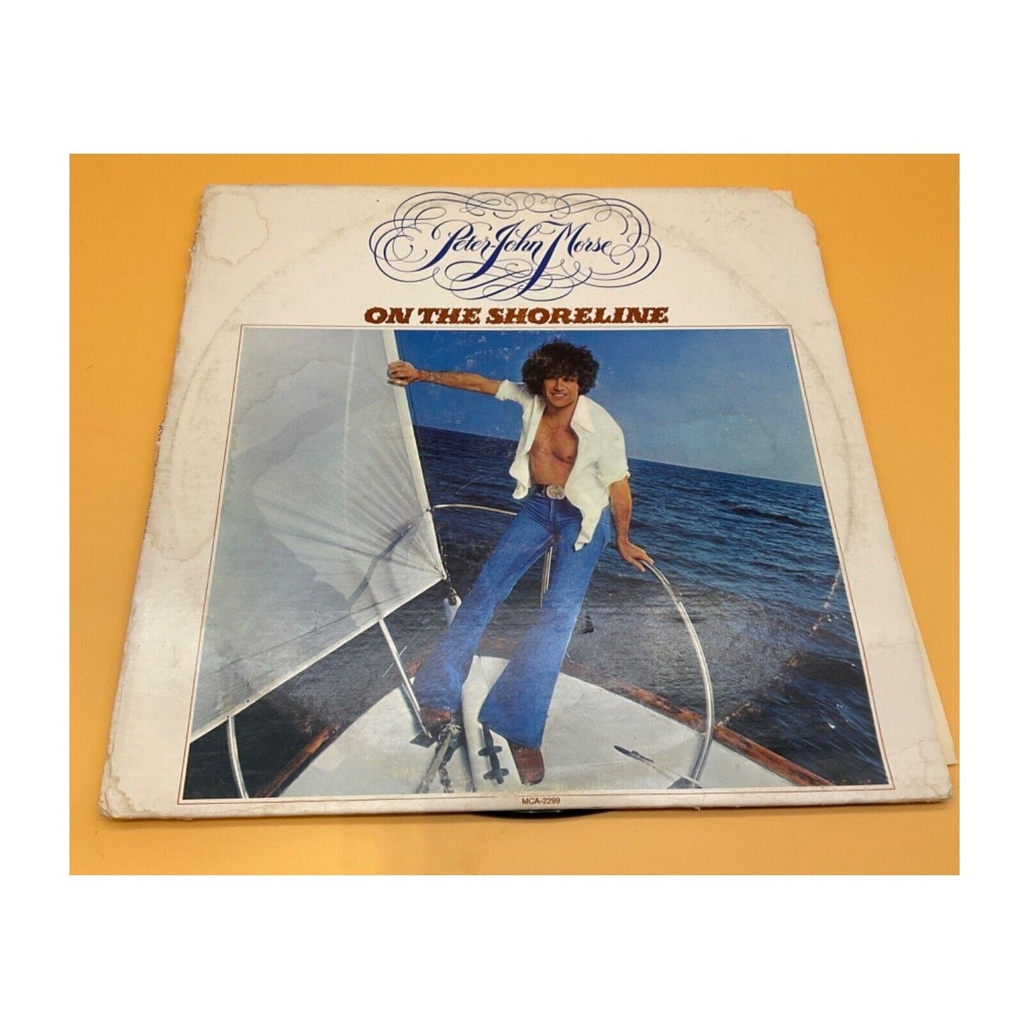 Vintage "On the Shoreline" by Peter John Morse Vinyl LP MCA-2299