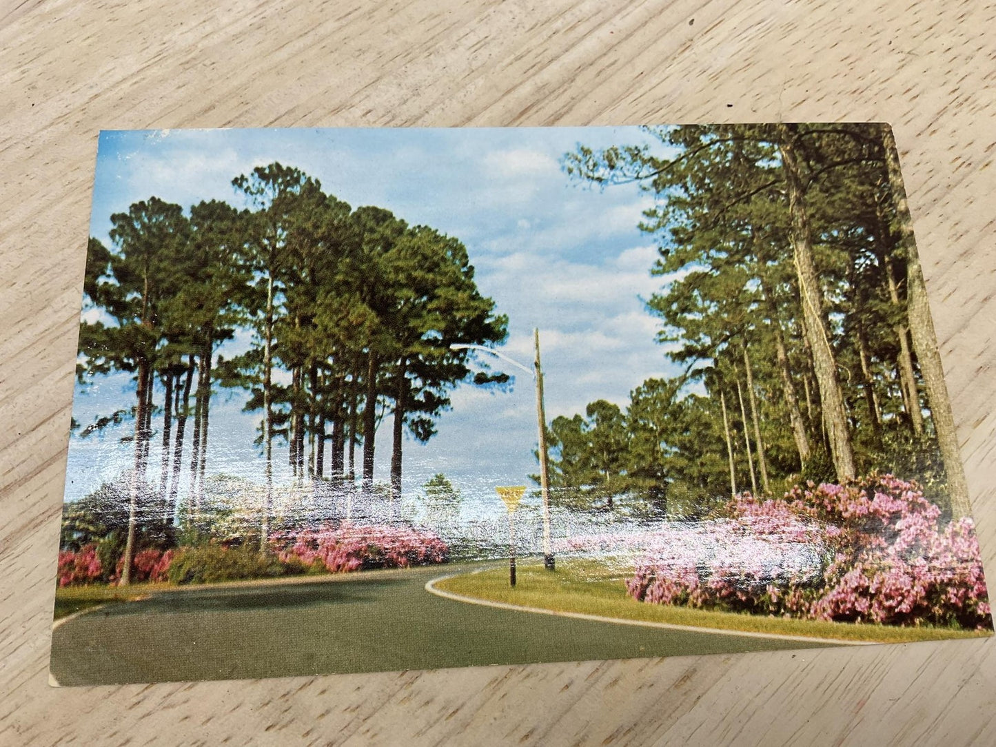 Vintage Camp Lejeune Paradise Point Circle Postcard Helen M. Tatum NC 5.5x3.5in