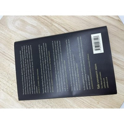 The Widening of God's Mercy Hays Hardcover Sexuality Biblical Story Yale Press