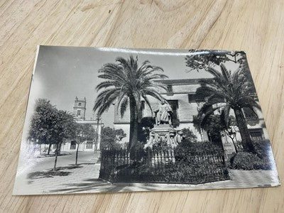 Vintage Jerez De La Frontera Estatua Marques Domecq B&W Postcard Std 5.5x3.5 In
