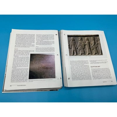 Understanding Art Loose Leaf Book 10th Edition Mitchell College Fichner-Rathus