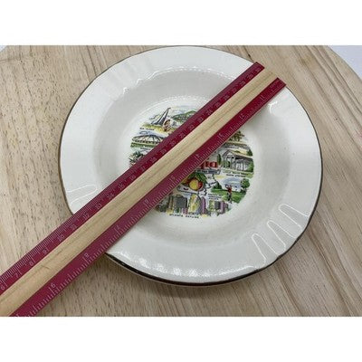 Vintage Georgia Souvenir Bowl Plate Empire State Of The South 22K Gold Trim