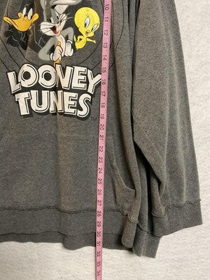 Looney Tunes Hoodie Mens 3XL Gray Fleece Pullover Graphic Characters Sweatshirt