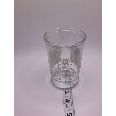 3 Bama Champion Driver Series Glasses Ernie Irvan, Terry Labonte, Bobby Allison