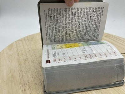 New World Translation of the Holy Scriptures Bible Softcover Jehovah's Witness