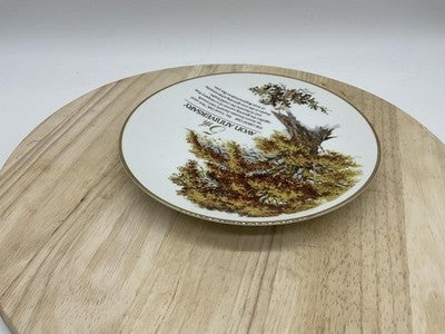 Avon 5th Anniversary Oak Commemorative Award Porcelain Plate 1993 Japan 22K Gold