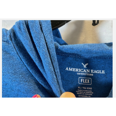 American Eagle Outfitters Hoodie Mens XL Blue Colorblock Graphic Sweatshirt