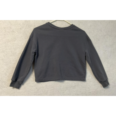 Pink Floyd Sweatshirt Youth Small Gray Dark Side of the Moon 1973 Cropped