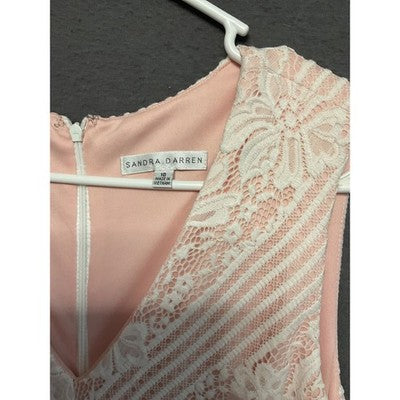 Sandra Darren 10 Blush Lace Dress Sleeveless Fit & Flare Floral V-Neck Lined