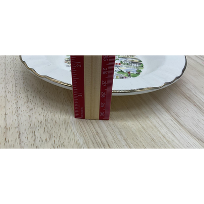 Vintage Georgia Souvenir Bowl Plate Empire State Of The South 22K Gold Trim