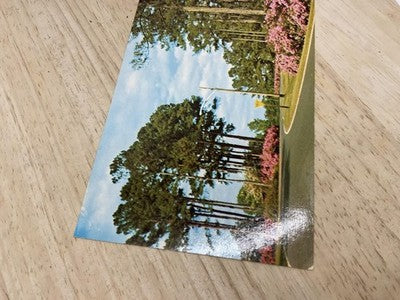 Vintage Camp Lejeune Paradise Point Circle Postcard Helen M. Tatum NC 5.5x3.5in