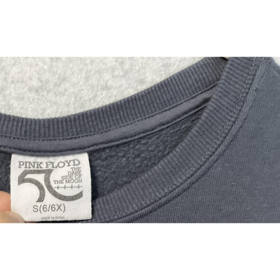 Pink Floyd Sweatshirt Youth Small Gray Dark Side of the Moon 1973 Cropped