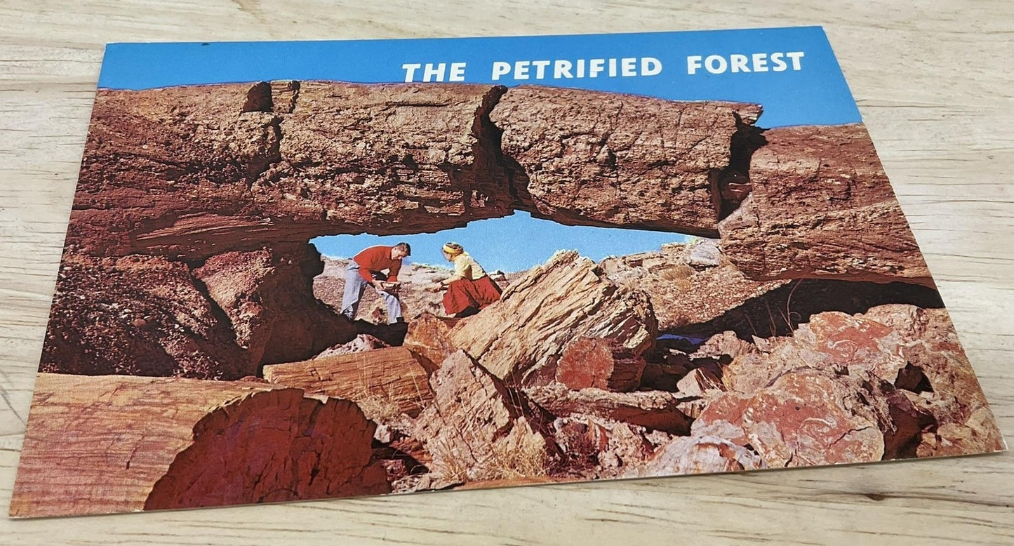 Vintage Arch Of Petrified Wood Petley Photochrome Postcard Phoenix AZ 5.5x3.5 In