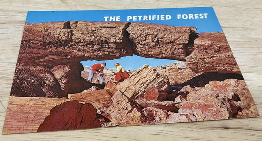 Vintage Arch Of Petrified Wood Petley Photochrome Postcard Phoenix AZ 5.5x3.5 In