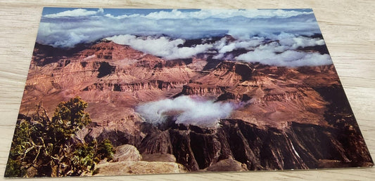 Vintage Grand Canyon Mike Roberts Studio Photochrome Color Postcard 5.5x3.5 In