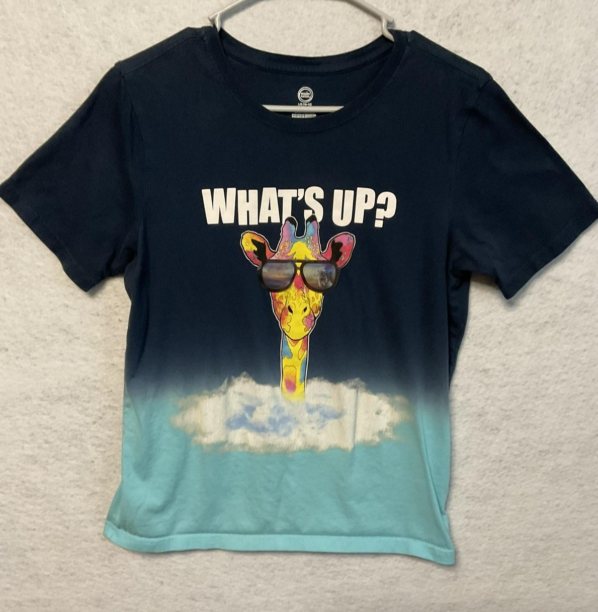 Wonder Nation Shirt Girls Large 10-12 Blue Ombre What's Up Giraffe Graphic Top
