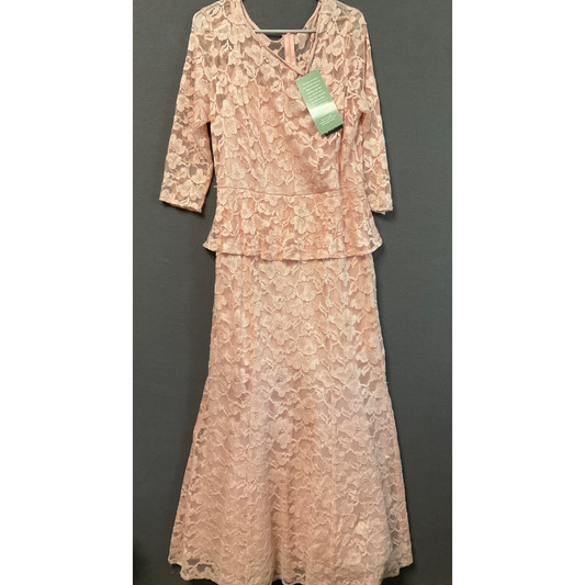 Chetta B Pink Floral Lace Maxi Dress Womens Size 12 Lined Formal Gown No Belt