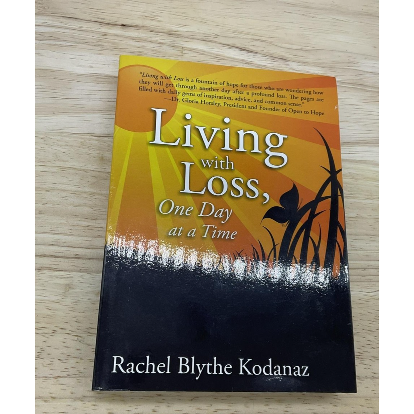 Living with Loss One Day at a Time Rachel Kodanaz Signed Paperback Grief Help