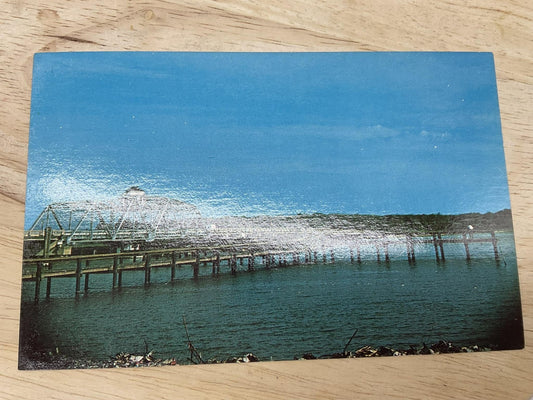 Vintage Holly Ridge NC Snead's Ferry Postcard Helen M Tatum Color 6 X 4 In