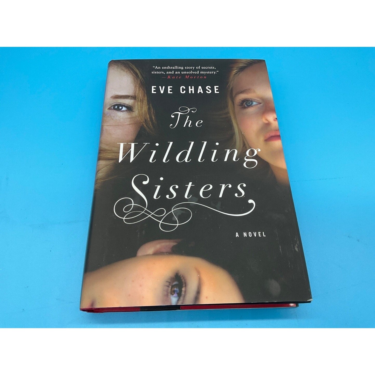 The Wildling Sisters by Eve Chase 2017 Hardcover Mystery Novel G.P. Putnam's Son
