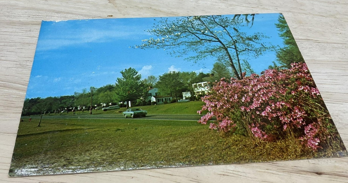 Vintage Senior Officers Quarters Camp Lejeune Photochrome Postcard 5.5x3.5 In