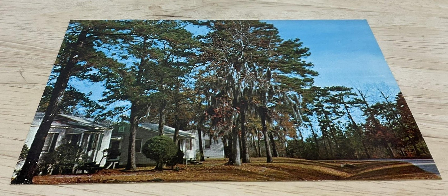 Vintage Midway Park North Carolina Helen M. Tatum Real Photo Postcard 5.5x3.5 In