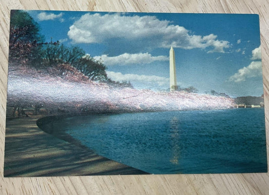 Vintage Washington Monument Cherry Trees Color Postcard Prince Co. 5.5x3.5