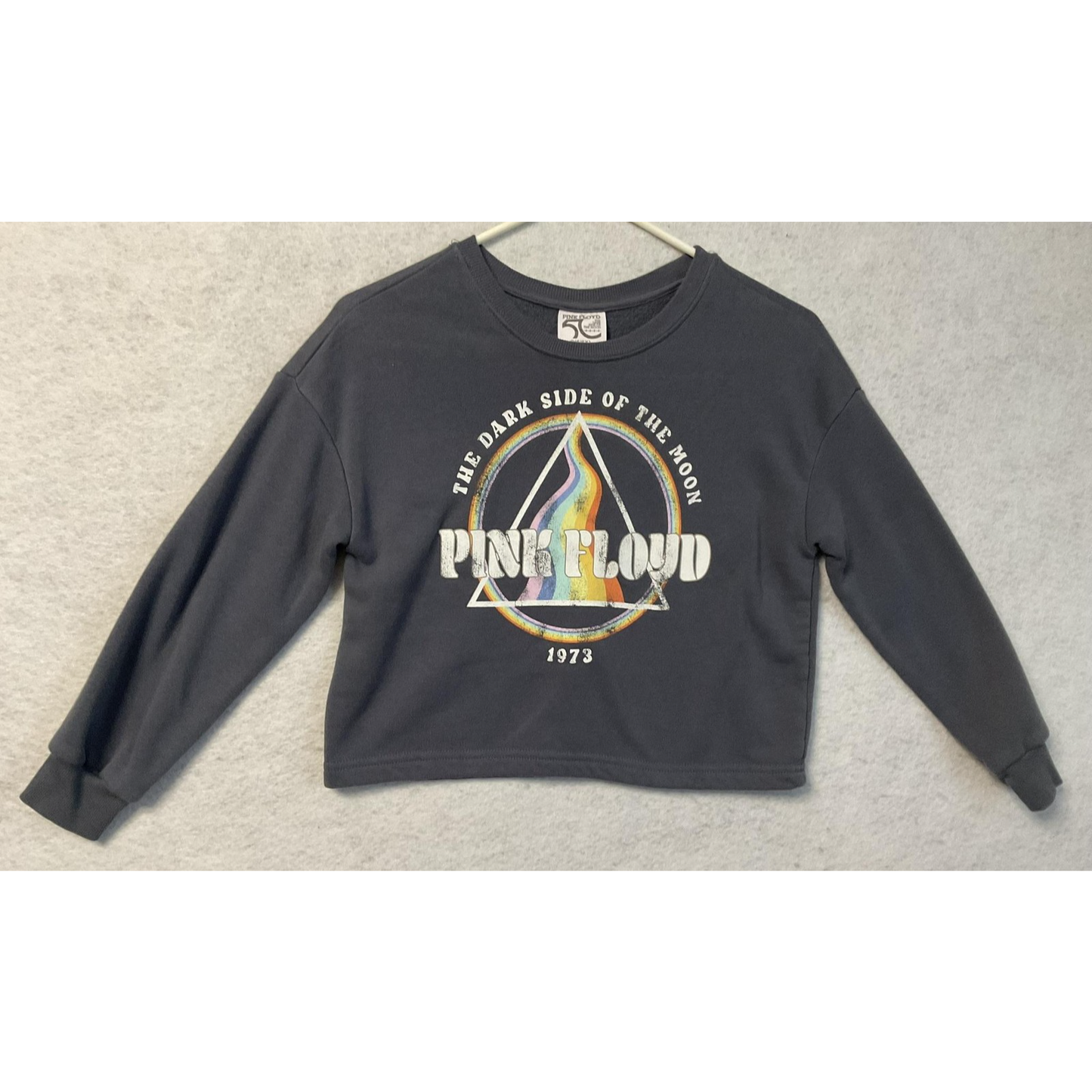 Pink Floyd Sweatshirt Youth Small Gray Dark Side of the Moon 1973 Cropped