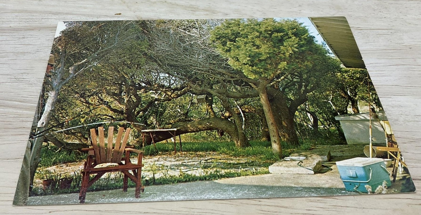 Vintage Topsail Island North Carolina Helen Tatum Photochrome Postcard 5.5x3.5