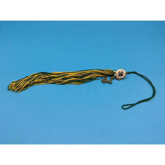 Certified Nursing Assistant Graduation Tassel with pendants CNA 2014 Green Gold