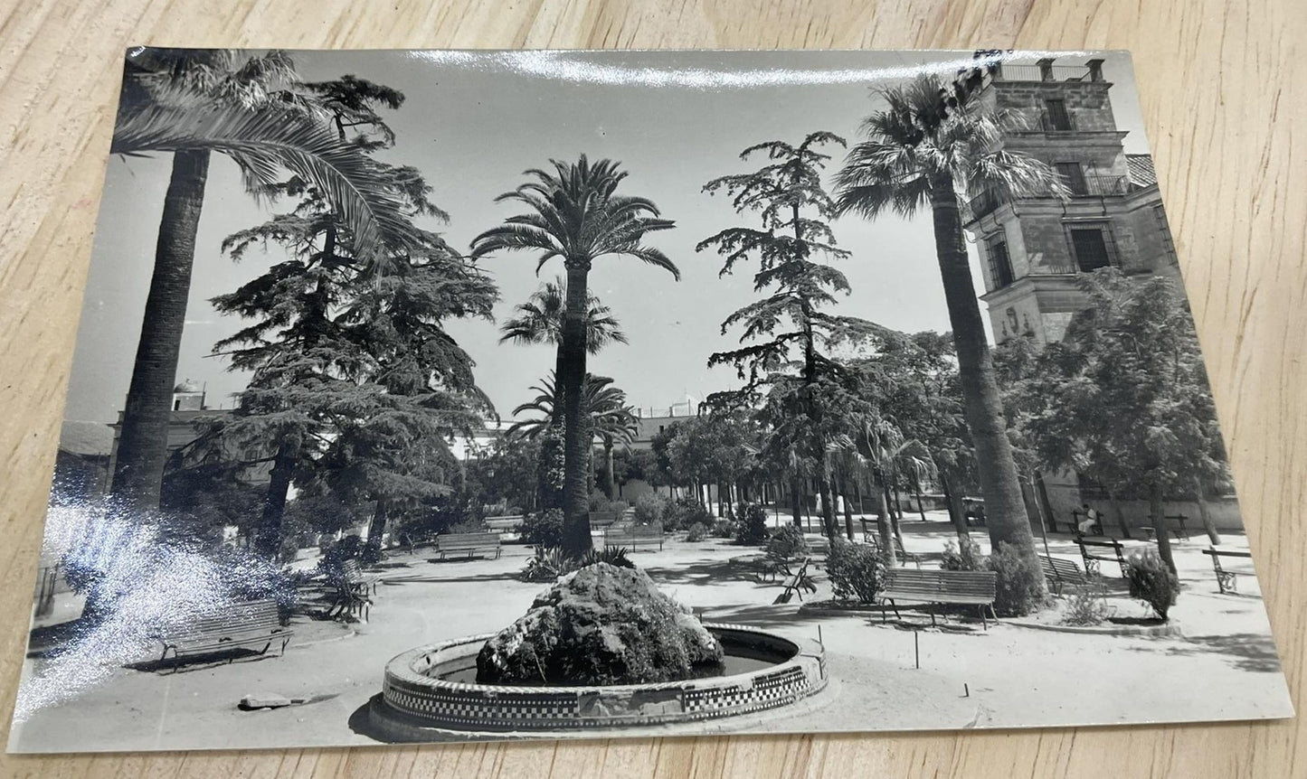 Vintage Jerez De La Frontera Alameda Fortun RPPC Spain B/W Postcard 6 X 4 In