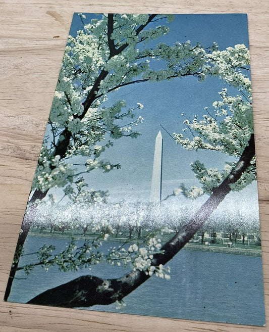 Vintage Washington Monument Color Lithograph Postcard 5.5x3.5 In