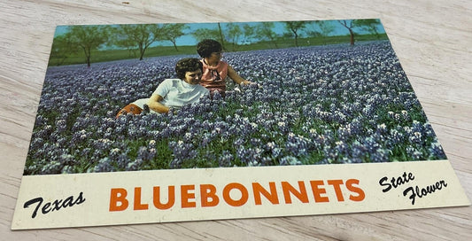 Vintage Texas Bluebonnets Color Photochrome Postcard 5.5x3.5 In