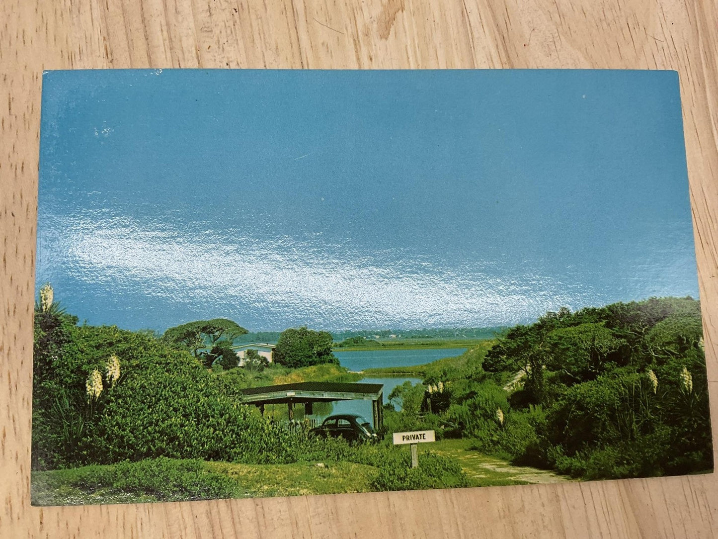 Vintage Holly Ridge North Carolina Sound Side Postcard Helen Tatum Unposted 6x4
