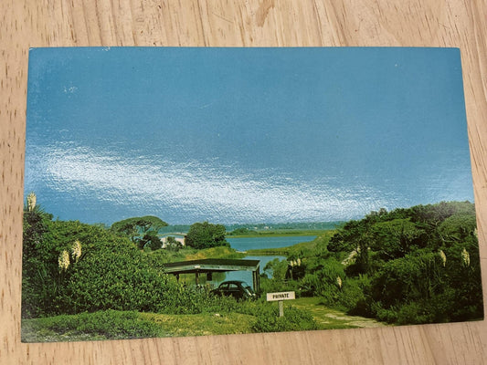 Vintage Holly Ridge North Carolina Sound Side Postcard Helen Tatum Unposted 6x4