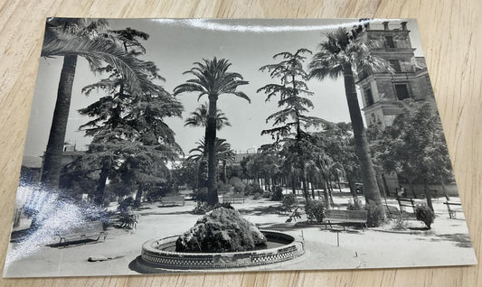 Vintage Jerez De La Frontera Alameda Fortun RPPC Spain B/W Postcard 6 X 4 In