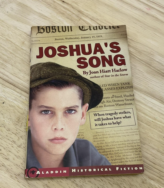 Joshua's Song Joan Hiatt Harlow Historical Fiction 2003 Aladdin Kids Softcover