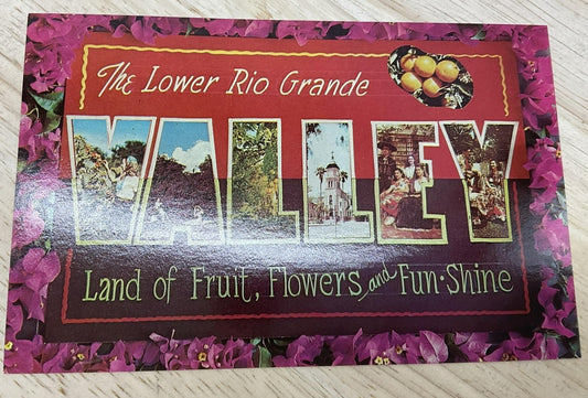 Vintage The Lower Rio Grande Valley Corpus Christi TX Color Postcard 5.5x3.5 In