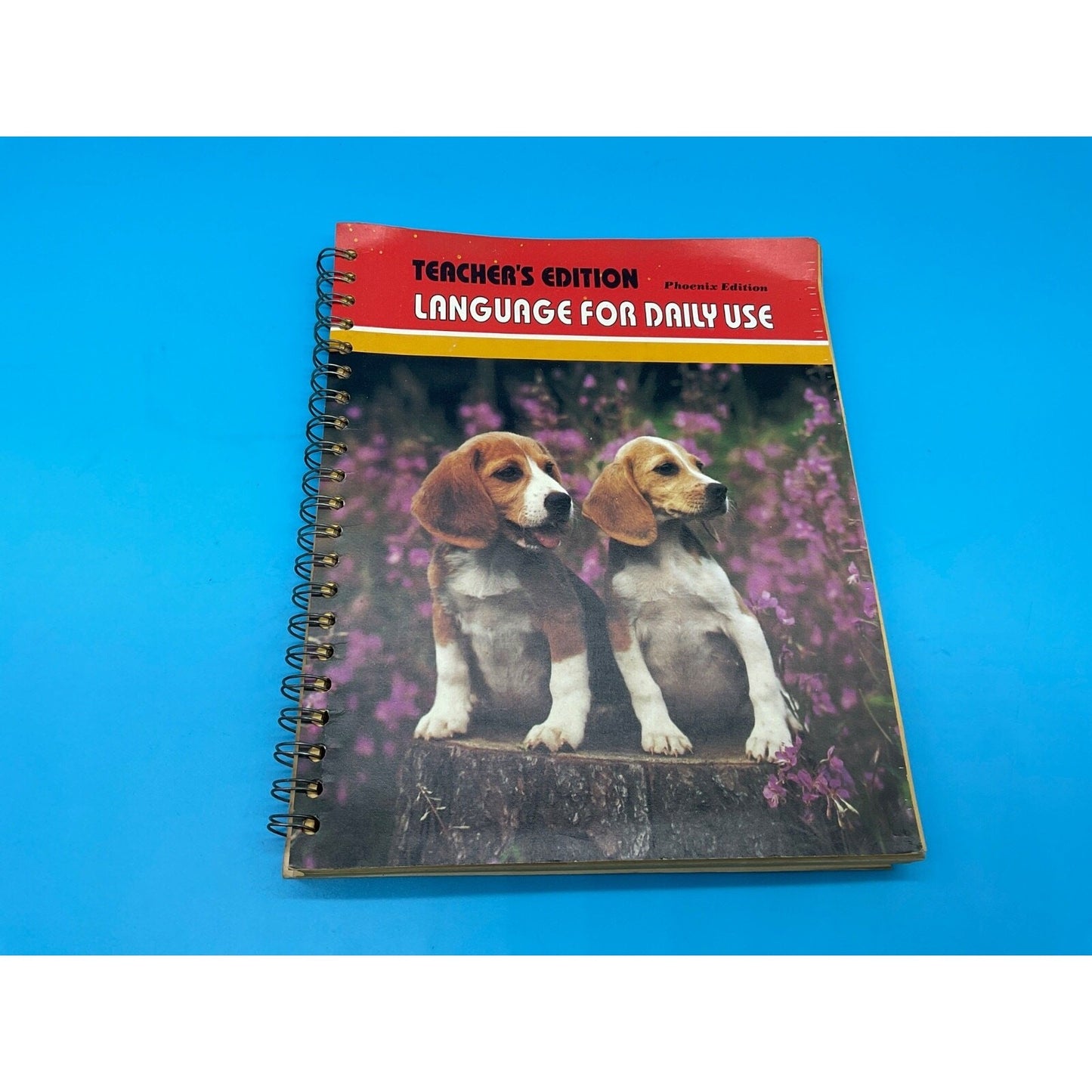 Harcourt Language Daily Use Teacher’s Edition Red 2 Spiralbound Schoolbook VTG